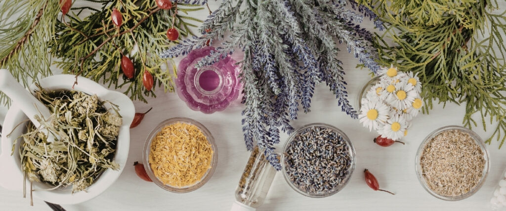 Vegan Hair Products for Curls: Top Picks for 2026 illustration