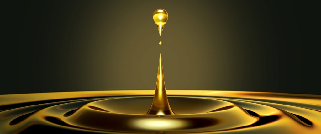 cruelty free hair products overview and key insights